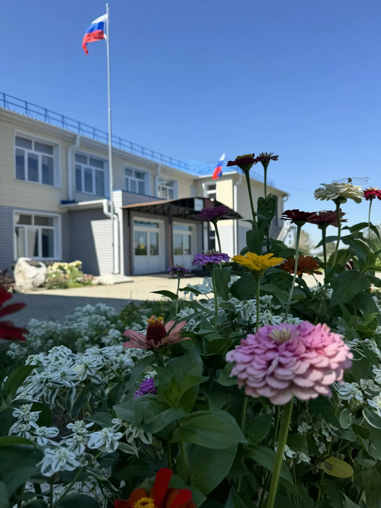 🌸 Школа - это наш общий дом, который мы любим и хотим видеть его красивым. В наше врем...