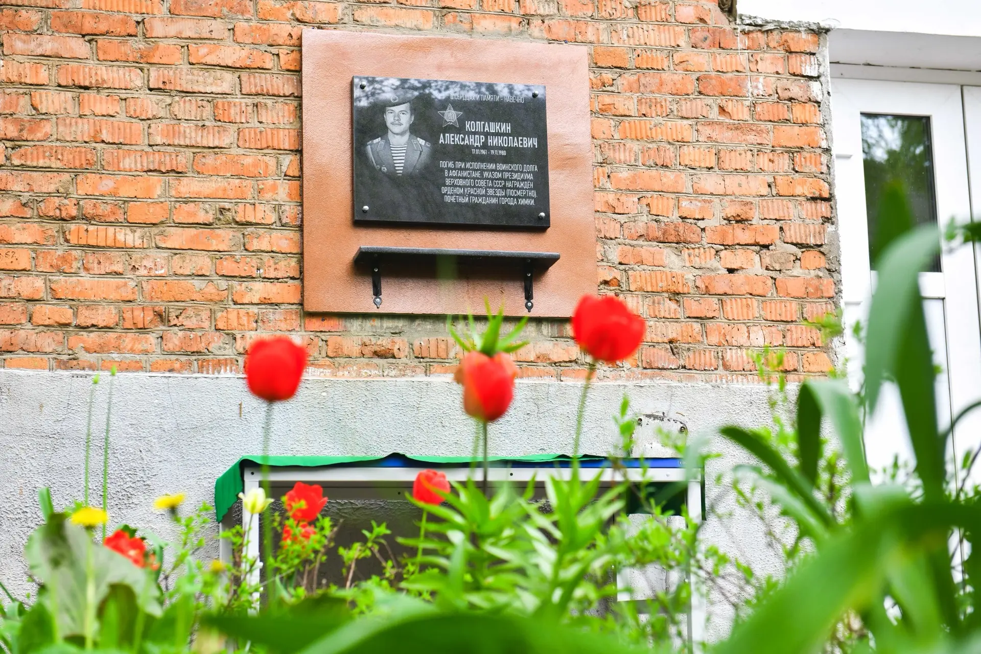 В Химках почтили память героев СВО и участников войны в Афганистане  В преддверии Дня Победы на терр