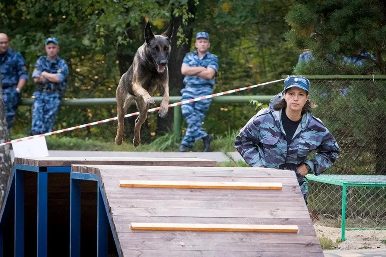 🐾 Когда собака - напарник и друг. История служебного тандема»🐕

«Собака – лучший друг человека» гл