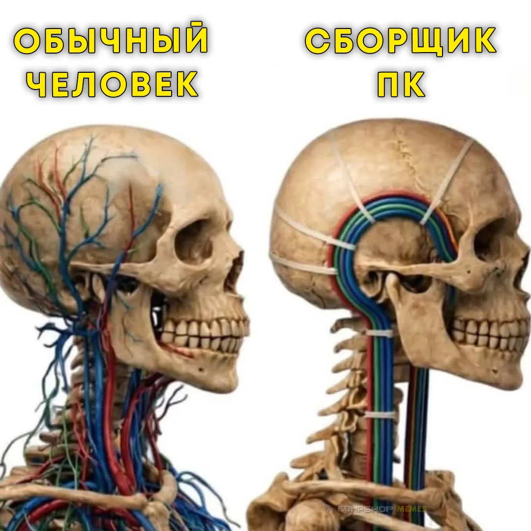 Кабель-менеджмент — красивый и беспощадный 🫡