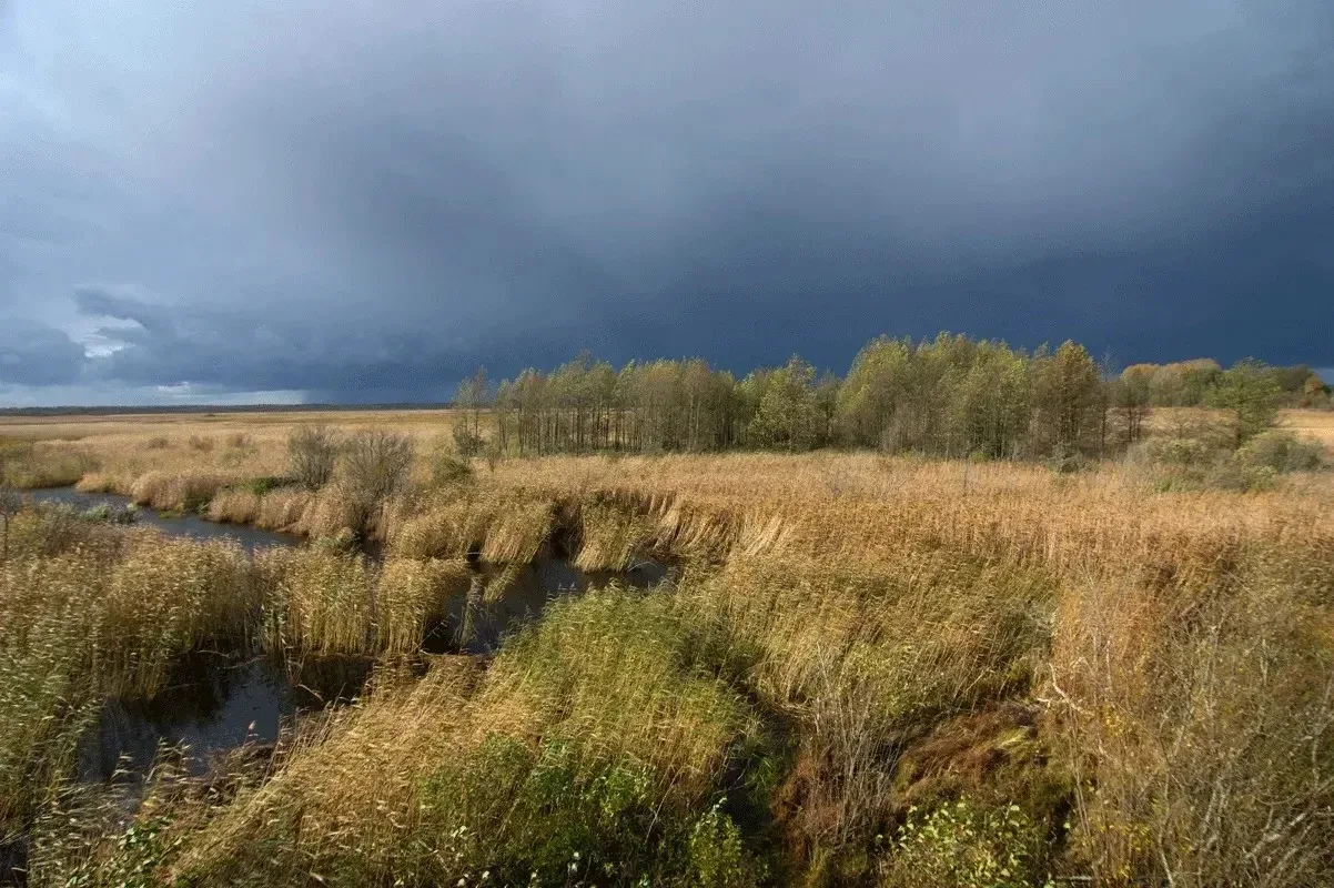 💰 С 1 мая в Ленобласти вводятся весенне-летние тарифы на посещение платных ООПТ  С 1 мая в Ленинград