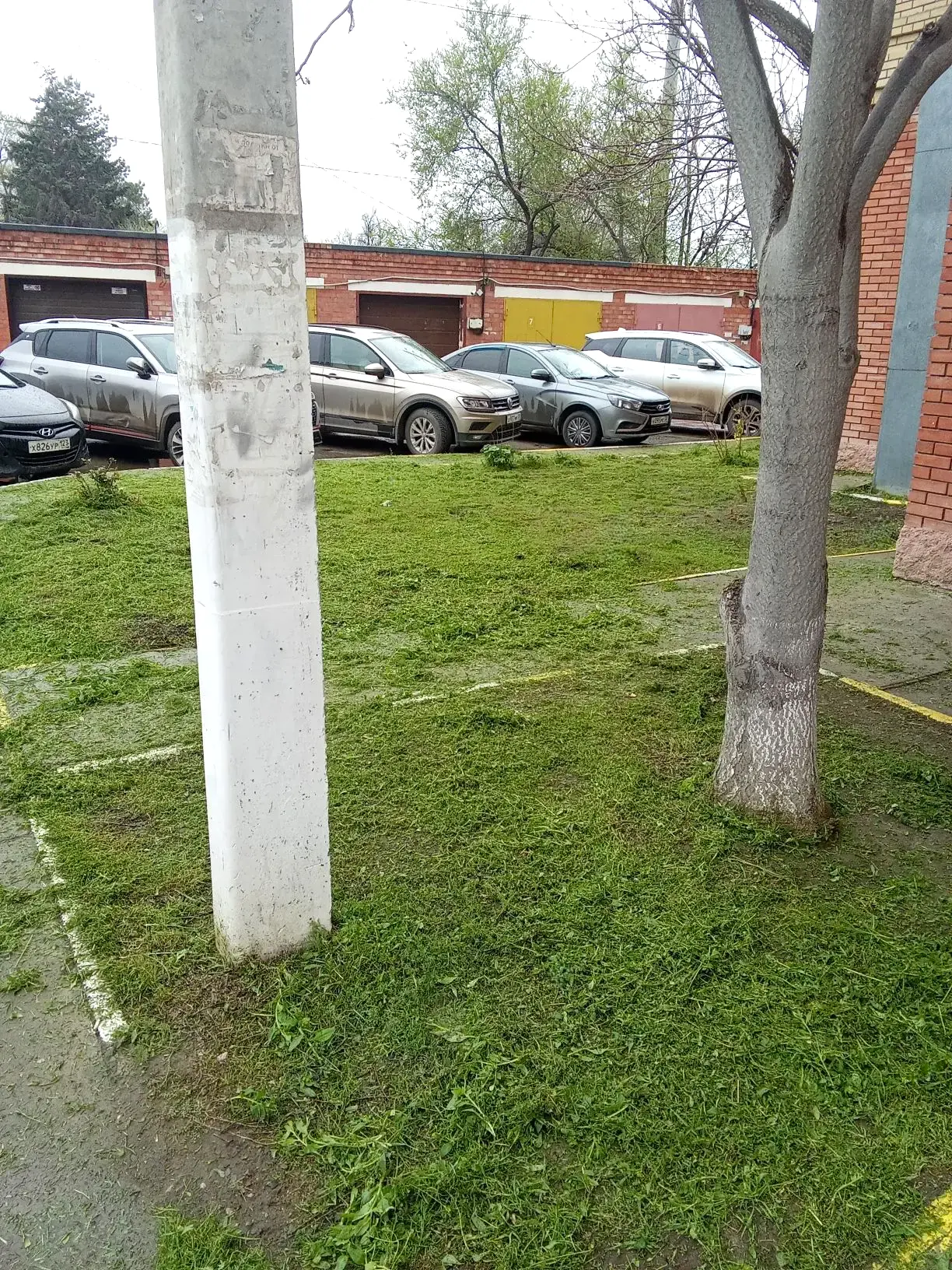 К новости «🌿 Свежий газон и порядок во дворе!»