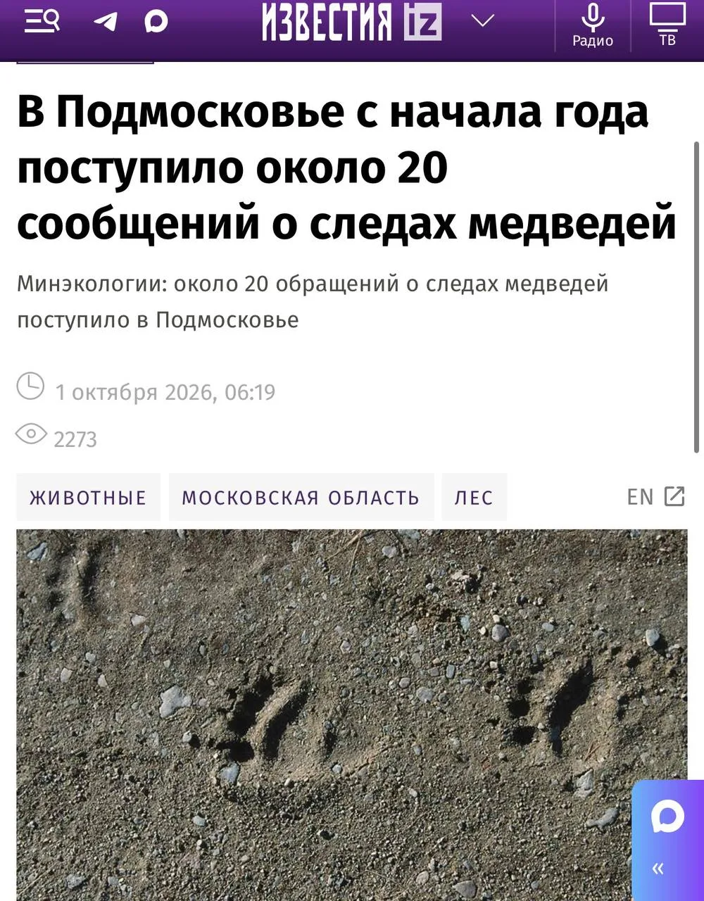 Медведей не встречали?