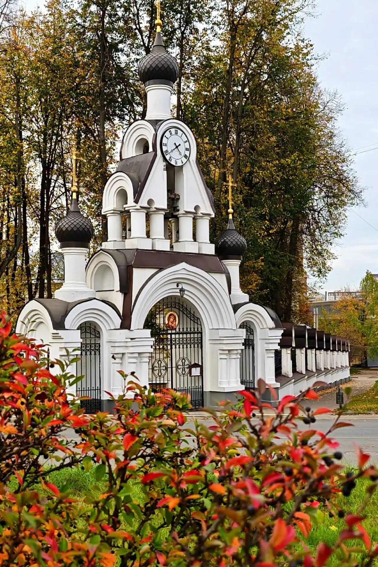 🍂 Осень без лишних слов — просто красиво. #Иваново, 2026.