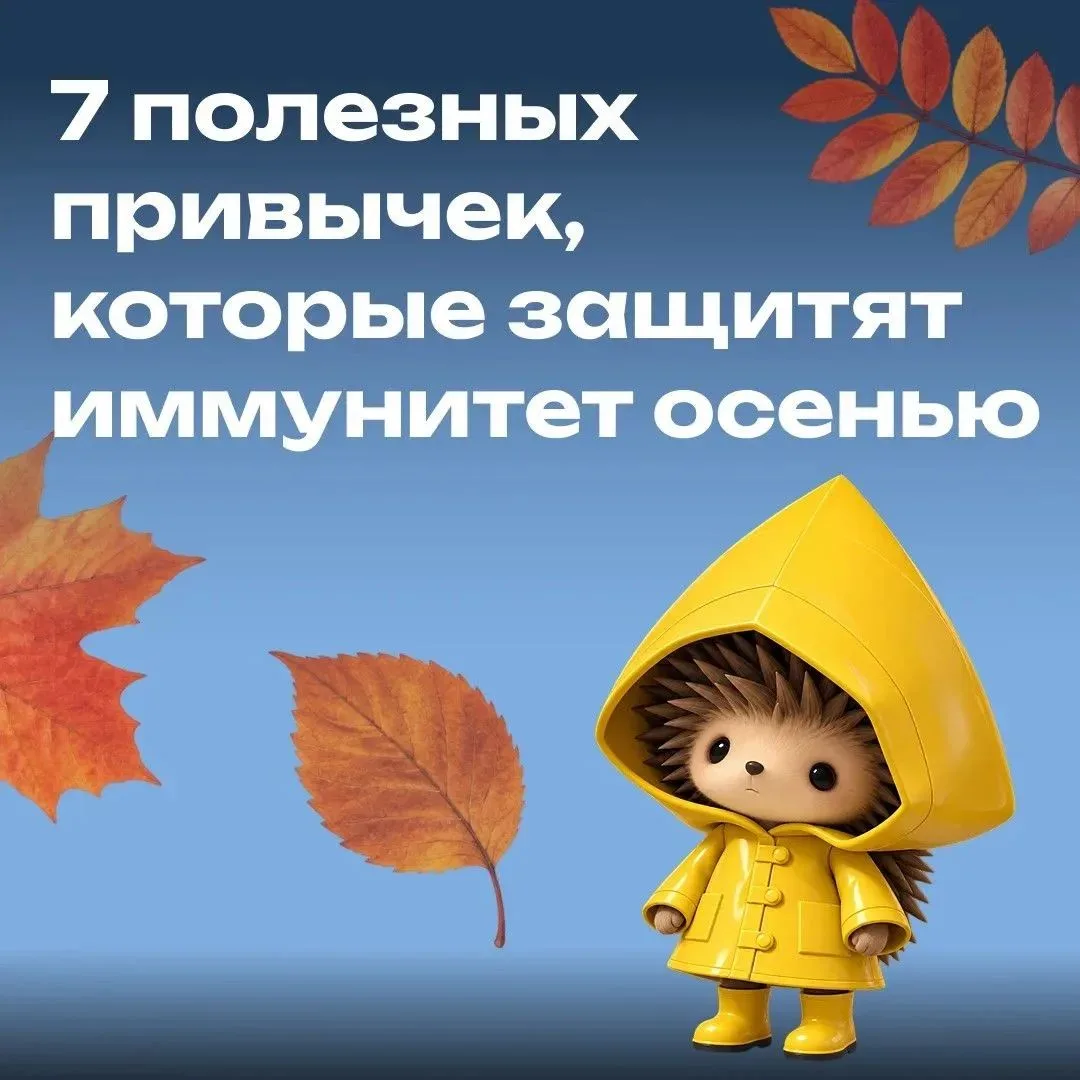 Защитить организм в сезон простуд помогают маленькие ежедневные привычки ✨