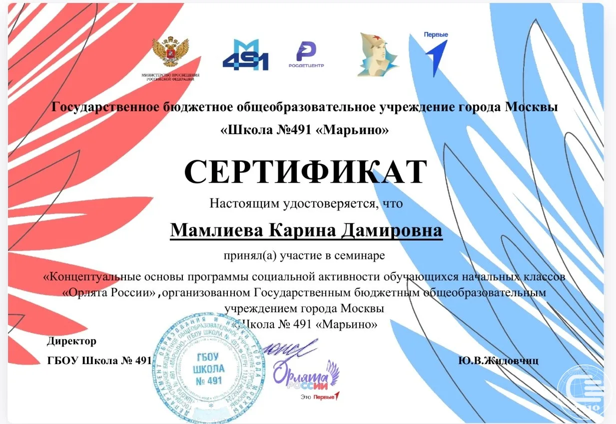 🦅 Педагоги начальной школы — на семинаре «Орлята России»  Педагоги начальных классов нашей школы пос