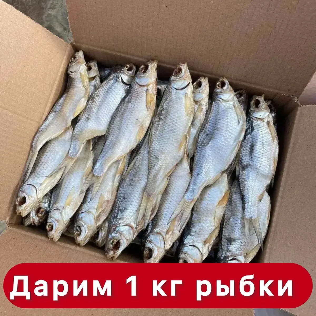 Изображение 1 к публикации «Кинолюбители - Лучшие фильмы»