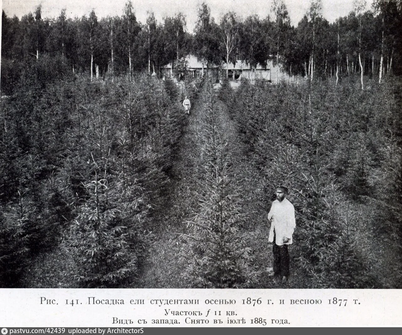 Петровское-Разумовское. Лесная Опытная дача