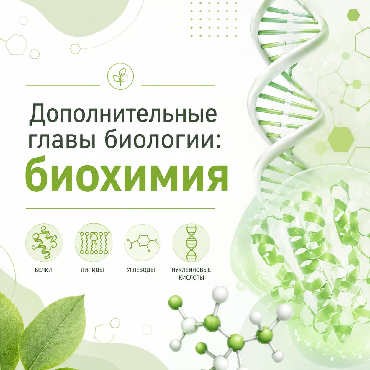 Сириус. Курсы для школьников