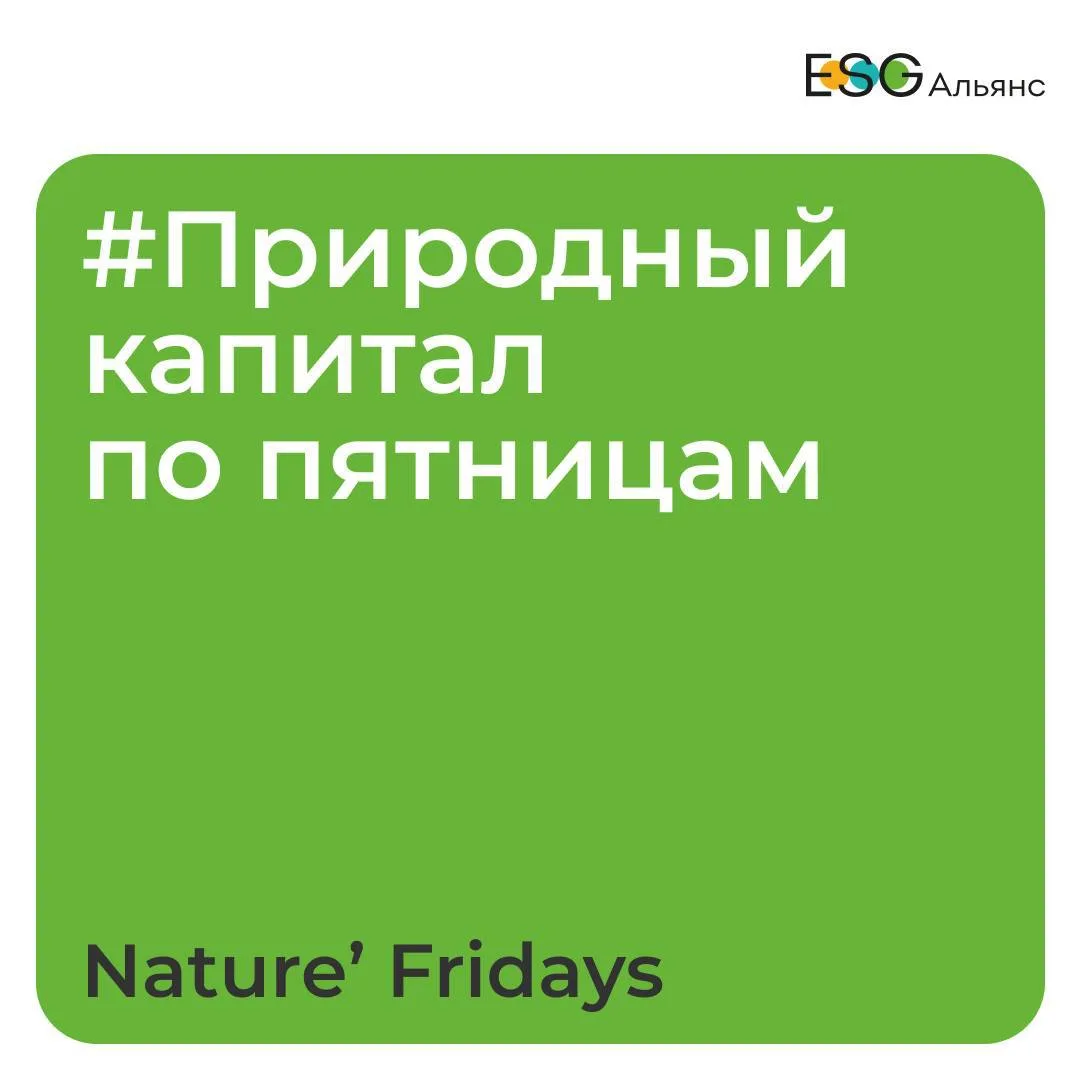🌿 Приглашаем на очередное заседание экспертного клуба ESG Альянса (https://t.me/esgall...