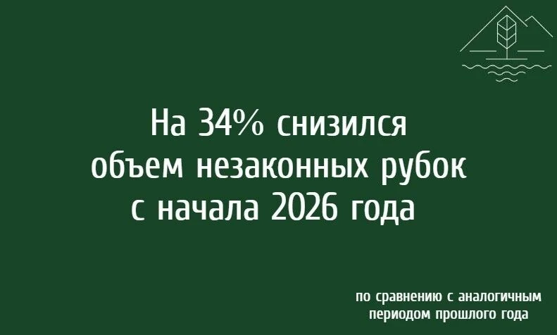 Благодаря системной работе по мониторингу обстановки в лесах региона объем незаконных рубок с начала