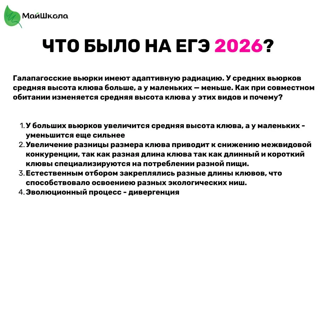 Вьюрки