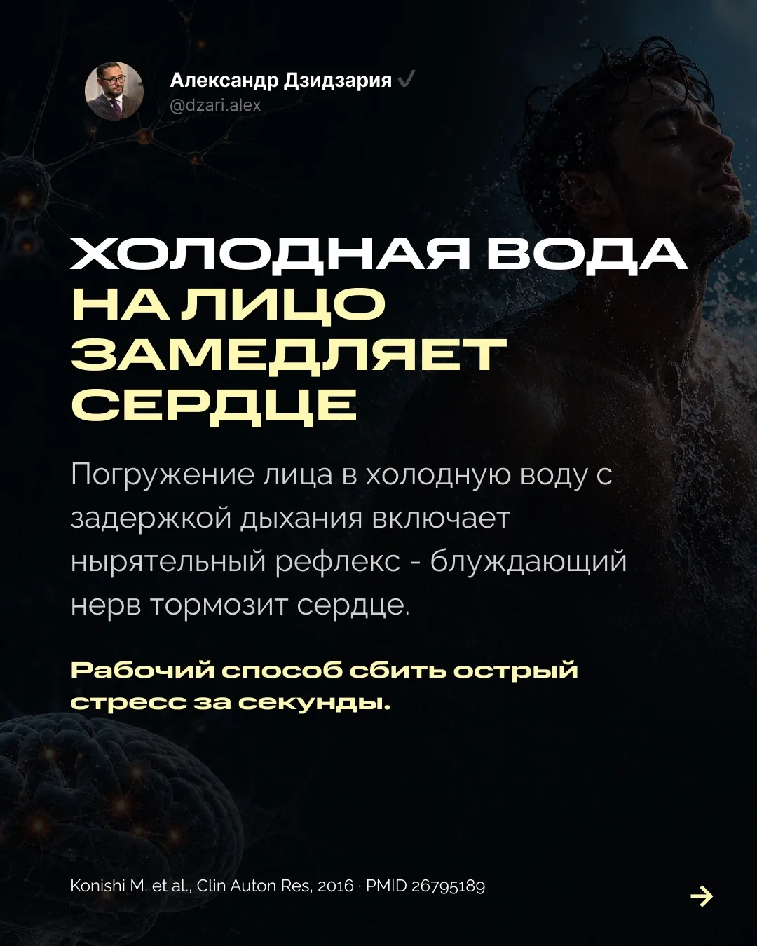 Изображение 5 к публикации «Александр Дзидзария»