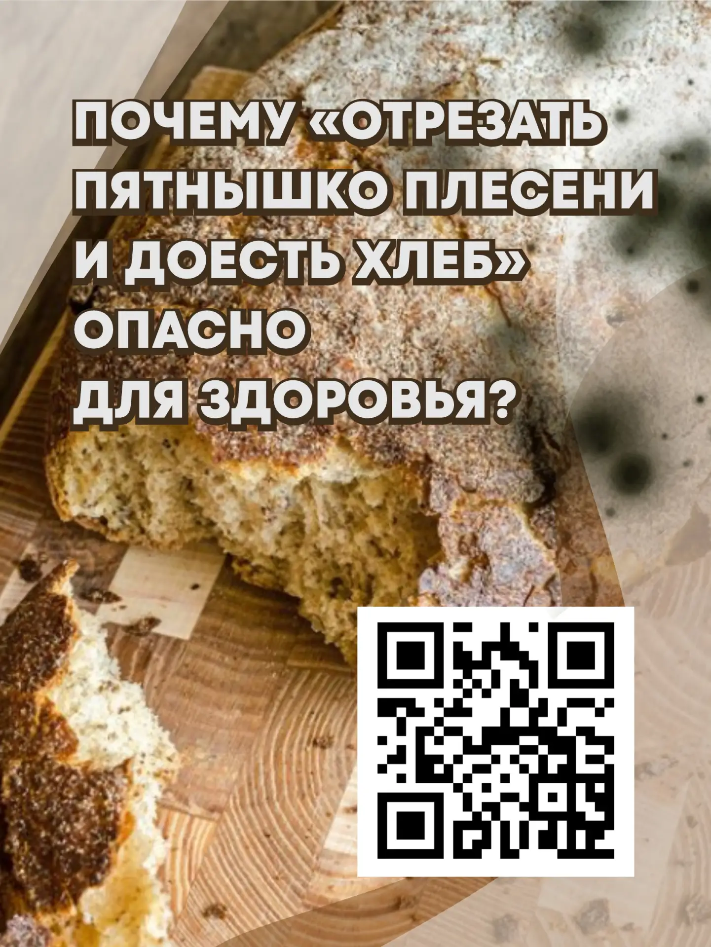 🍞 Почему «отрезать пятнышко плесени и доесть хлеб» опасно для здоровья?