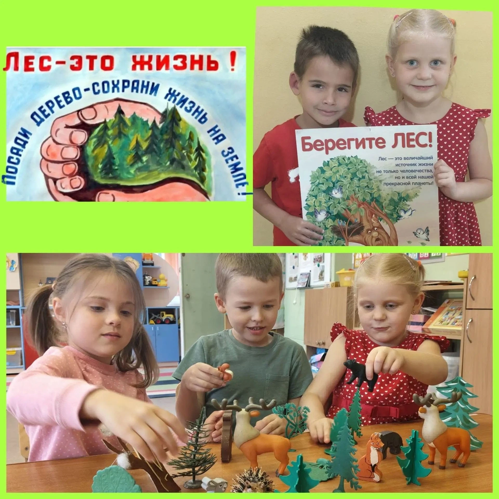 24 августа отмечается экологический праздник