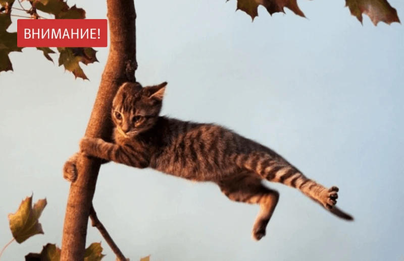 Штормовое предупреждение в городе — будьте осторожны! ⛈️⚠️