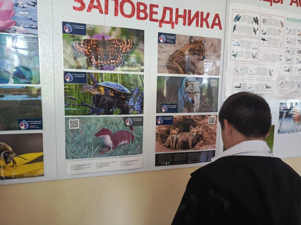 18 мая Международный день музеев