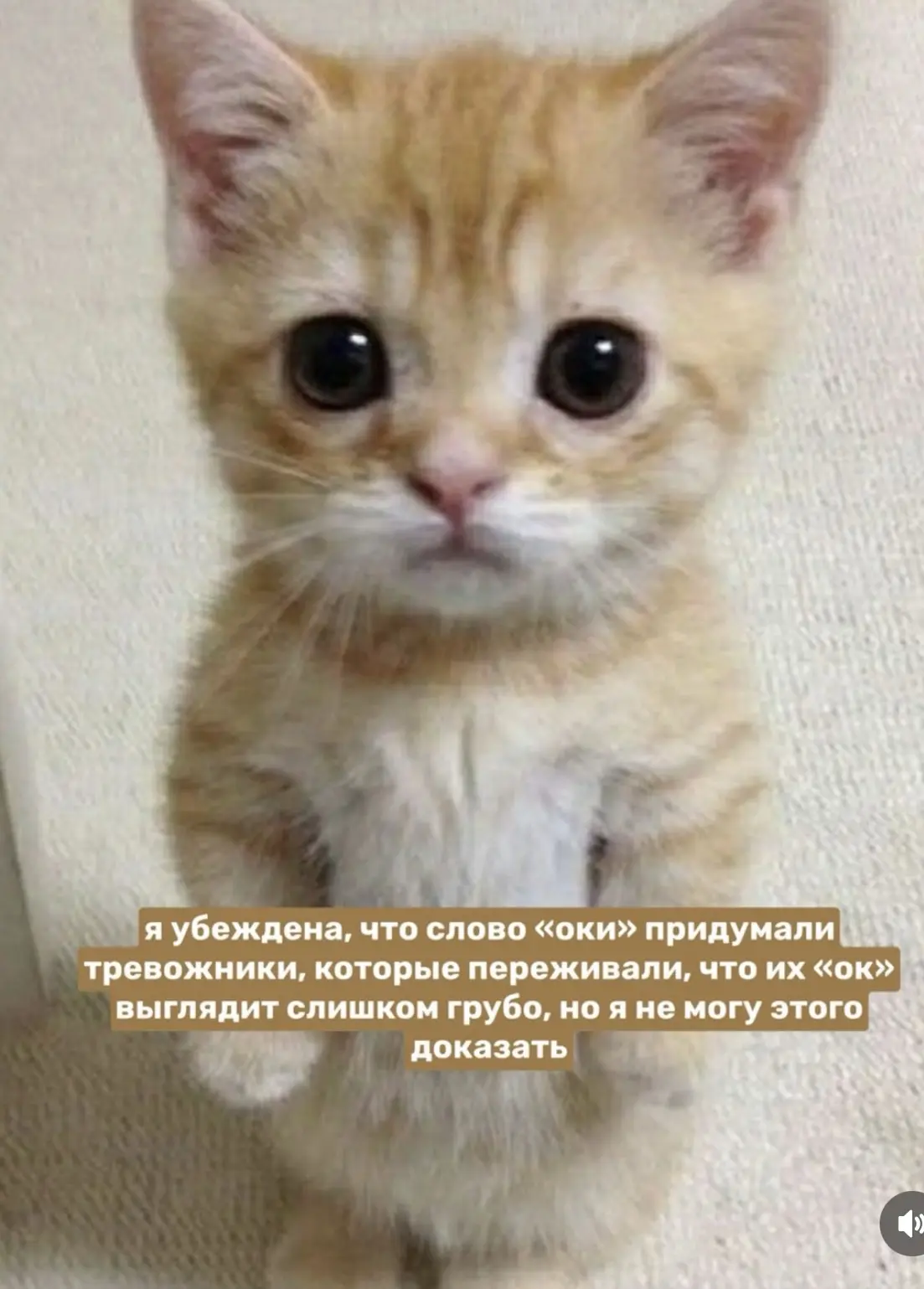 Точно😅