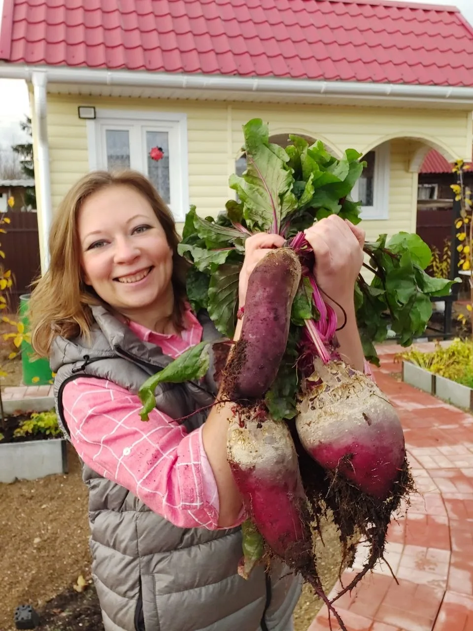 Когда убирать урожай?