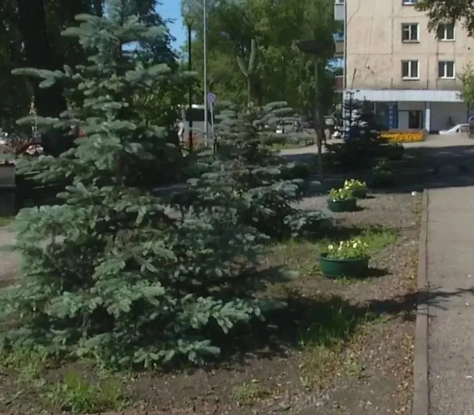 В Центре города вновь выкопали цветы.

Благоустройство родного города — дело общее. В нём участвуют 