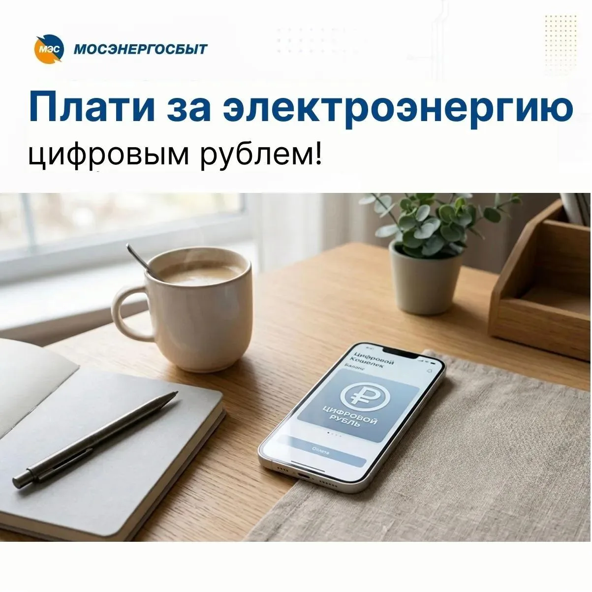 Нововведение реализуется совместно с Банком России и ВБРР и направлено на повышение про...