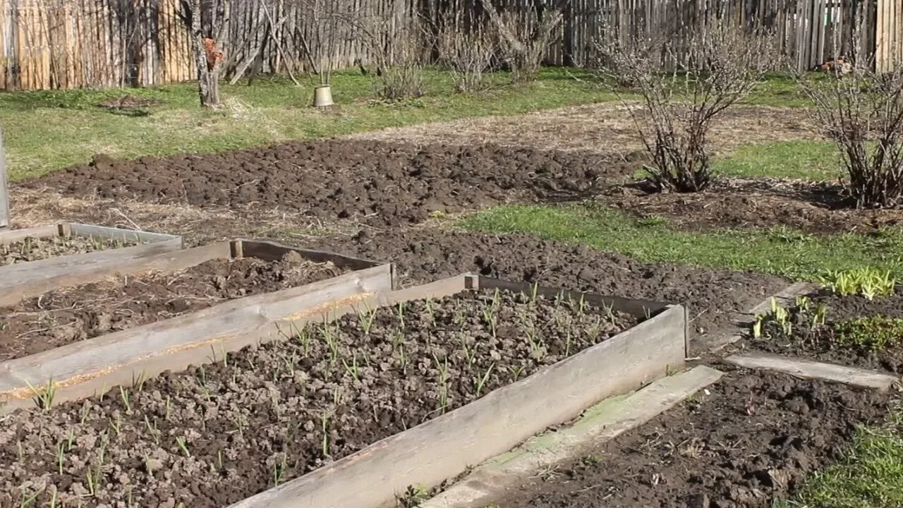 🌱 3 вещи, которые нельзя делать в начале сезона (мой личный опыт)    Я каждый год весной замечаю одн