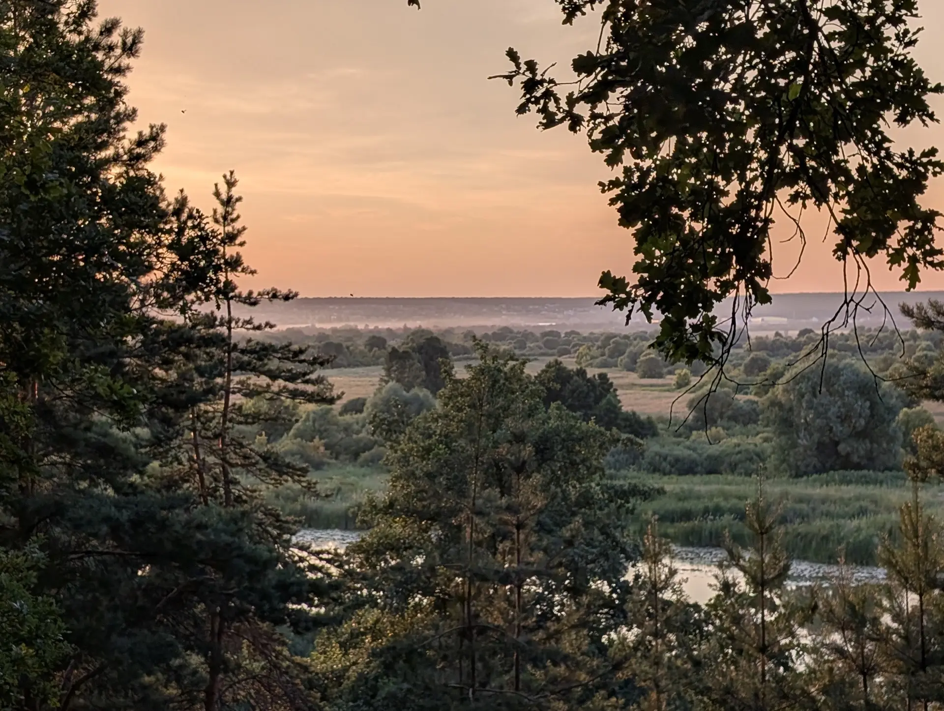 🌿 Летние зарисовки фотографов Лестеха

Лето продолжается, а вместе с ним –  наши прогулки с камерой