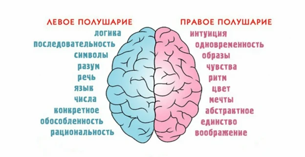 20 – 26 июля
Неделя сохранения здоровья головного мозга
(в честь Всемирного дня мозга 22 июля)

Подд