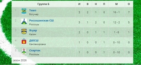 Воспитанники тренера-преподавателя МКУ ДО "ДЮСШ" Меловатского А.А. приняли участие в первенстве Воро
