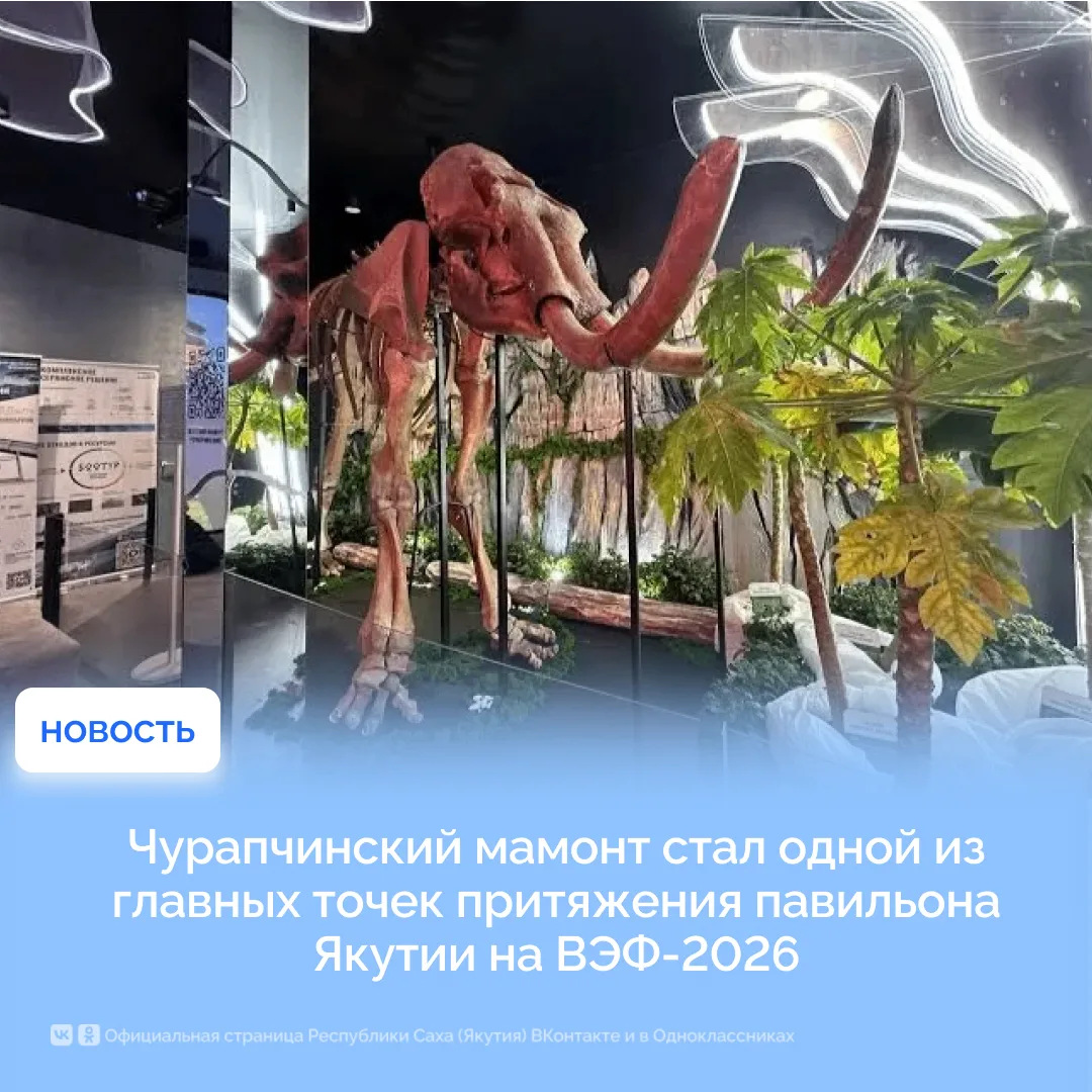 ВЭФ-2026: Чурапчинский мамонт стал одной из главных точек притяжения павильона Якутии