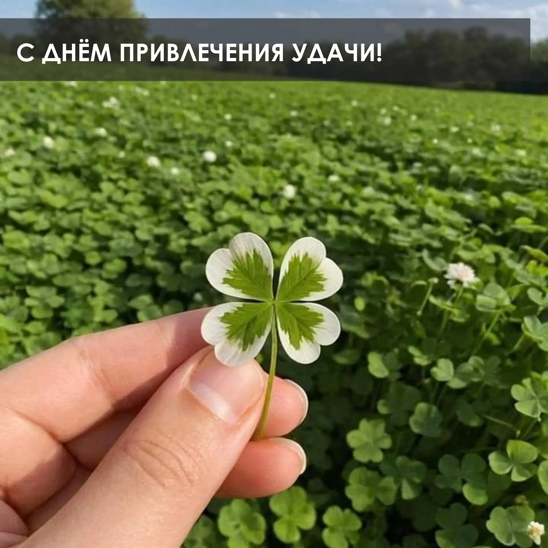 Erid: 2VfnxxZocB5
