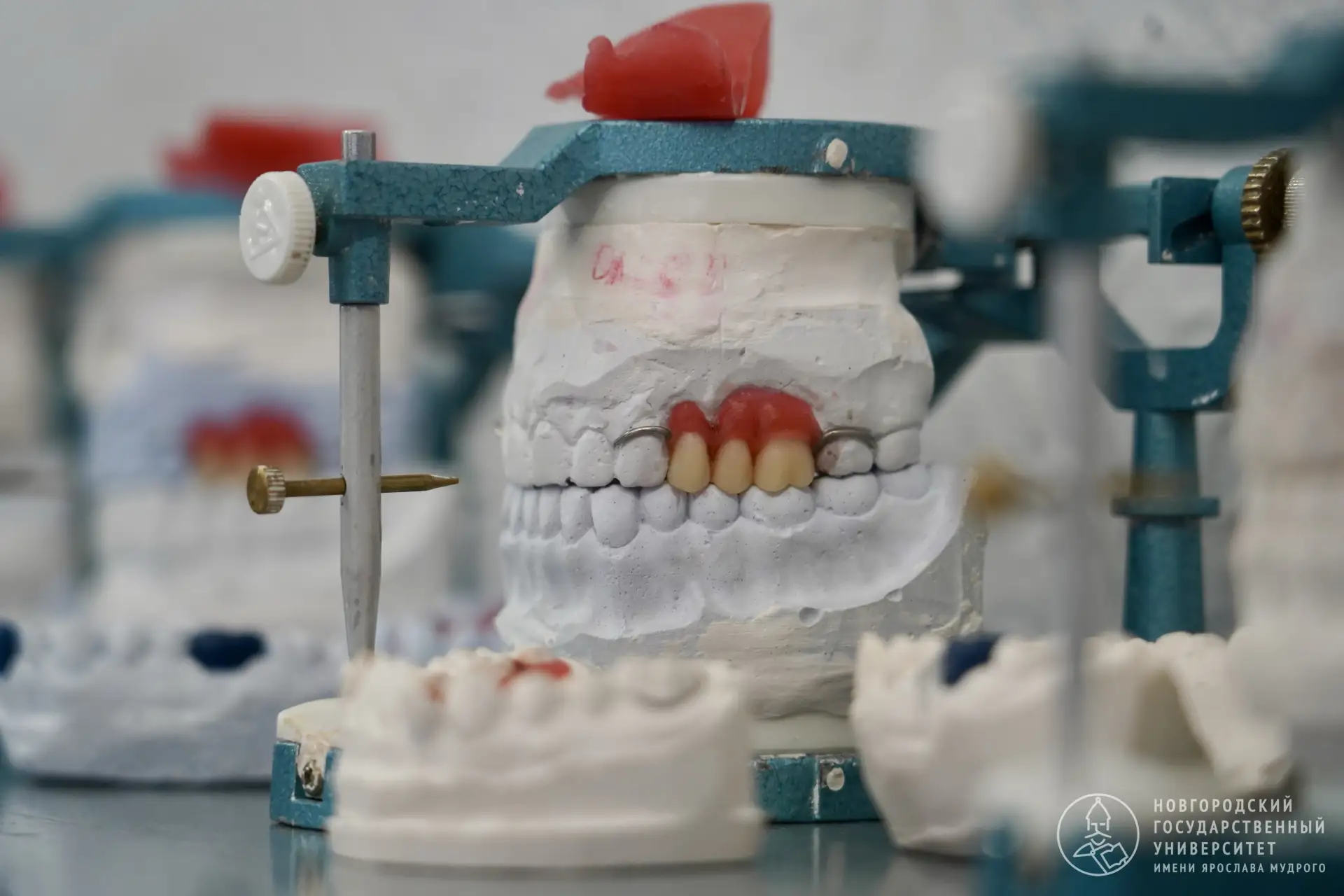 🦷 — Слышишь скрежет?
— Это мои зубы…

Учёные НовГУ проанализировали 68 научных работ о жевательных 