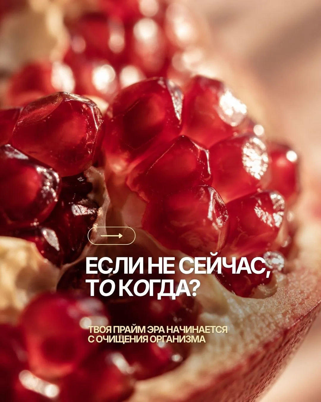 Старт тест-драйва — 14 сентября.