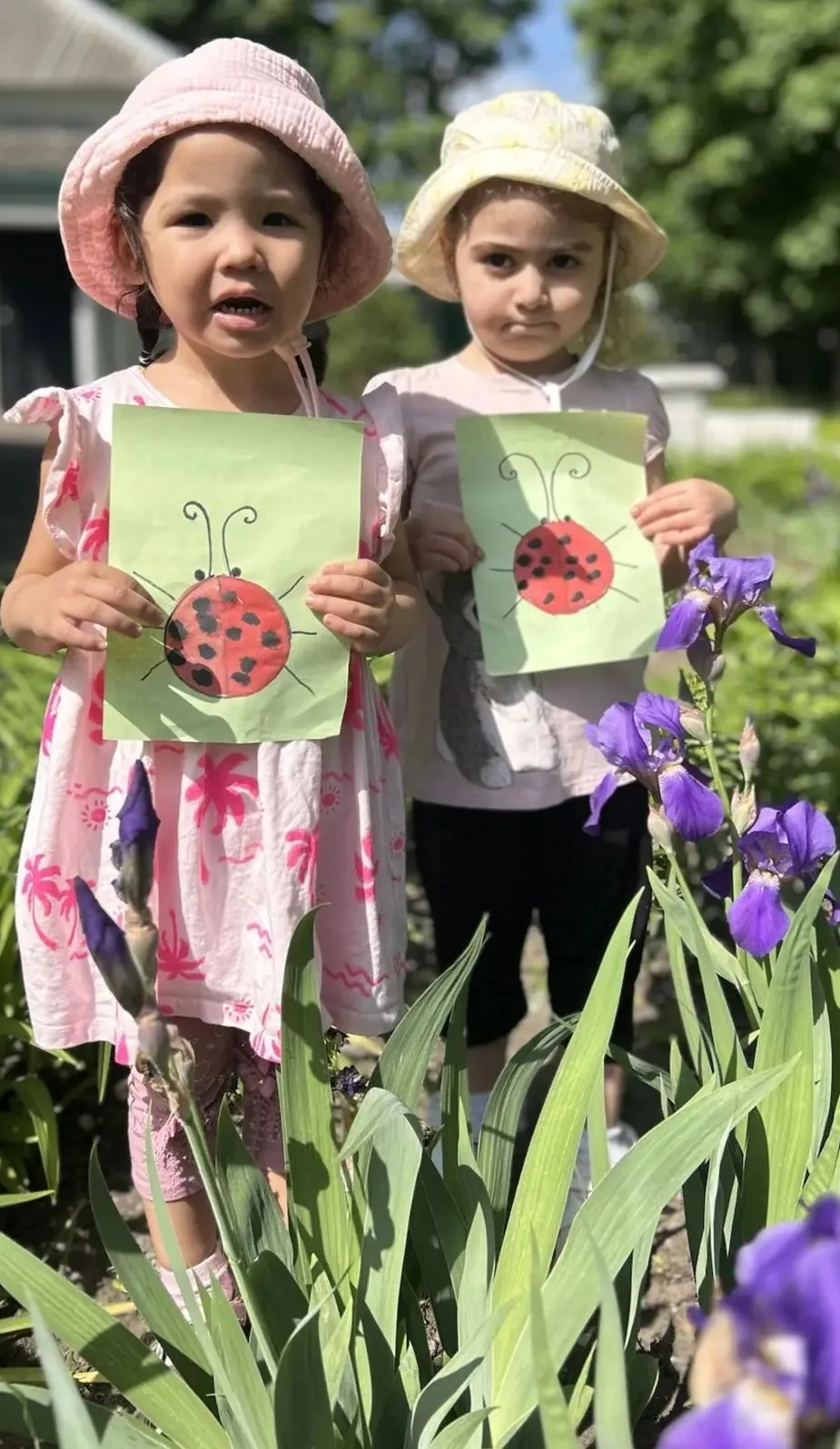 🐞 К нам прилетели божьи коровки! 🎨                                                   ...