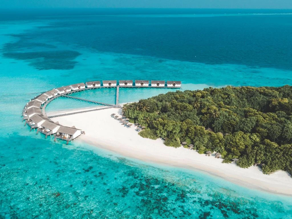 💍Бесплатная свадебная церемония в NH Collection Reethi Resort