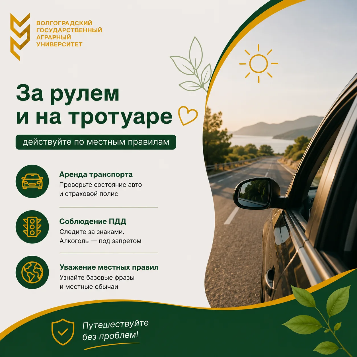 🚗 За рулем и на тротуаре: действуйте по местным правилам