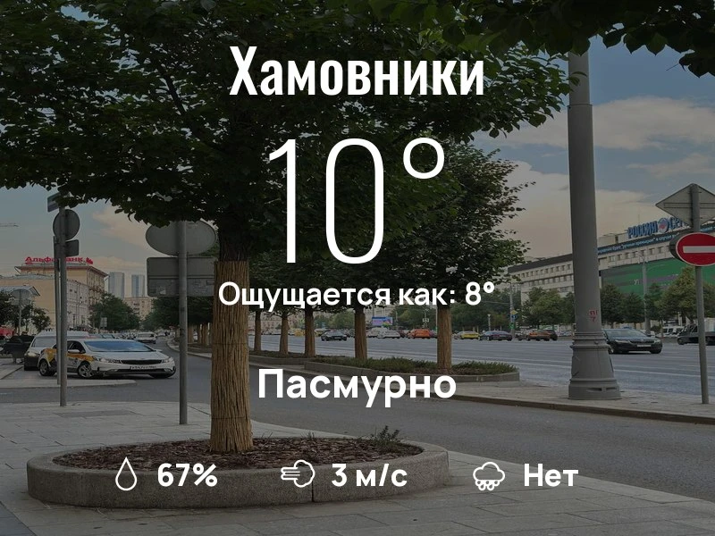 Что с погодой в Хамовниках?