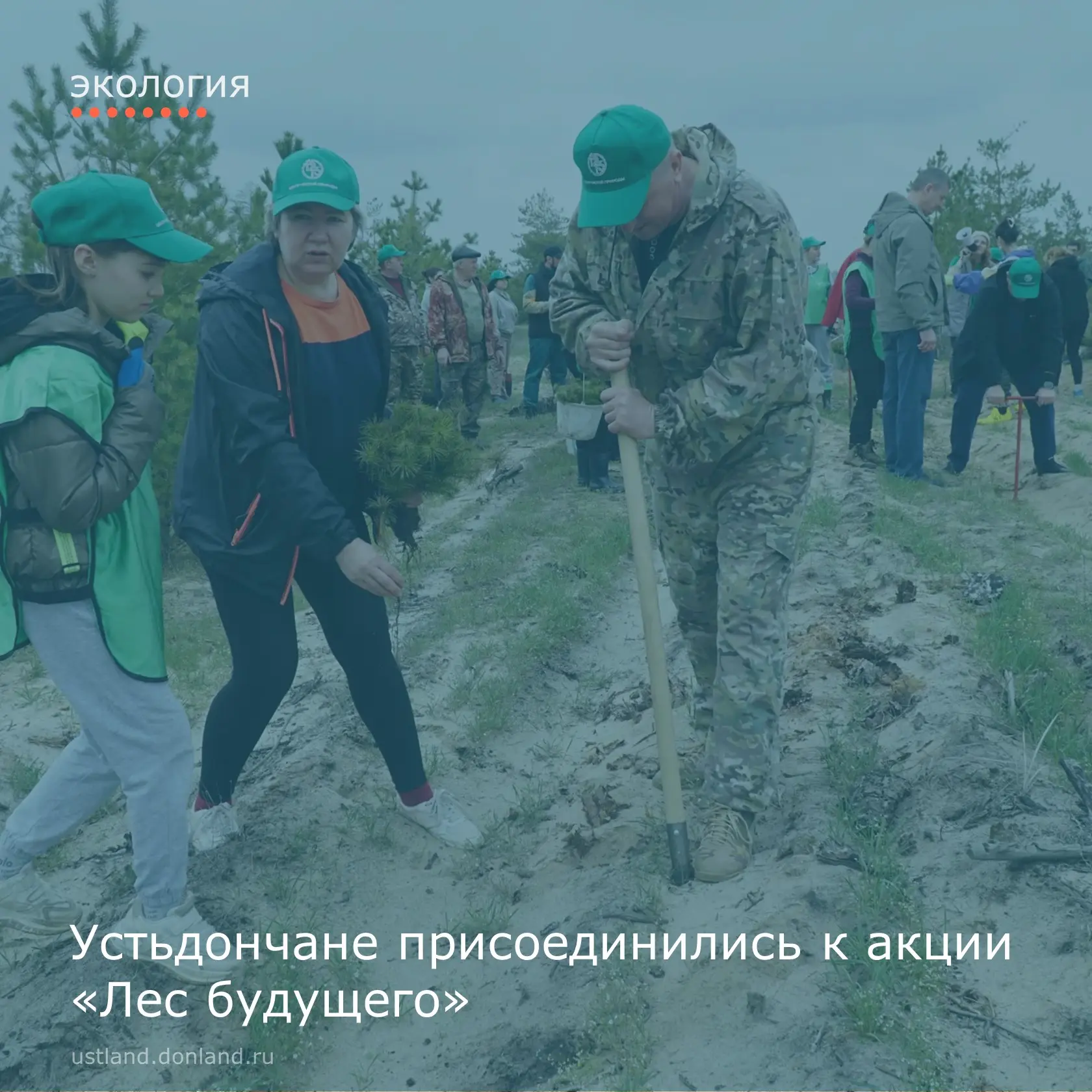 В рамках восстановления леса на землях государственного лесного фонда Нижнекундрюченско...