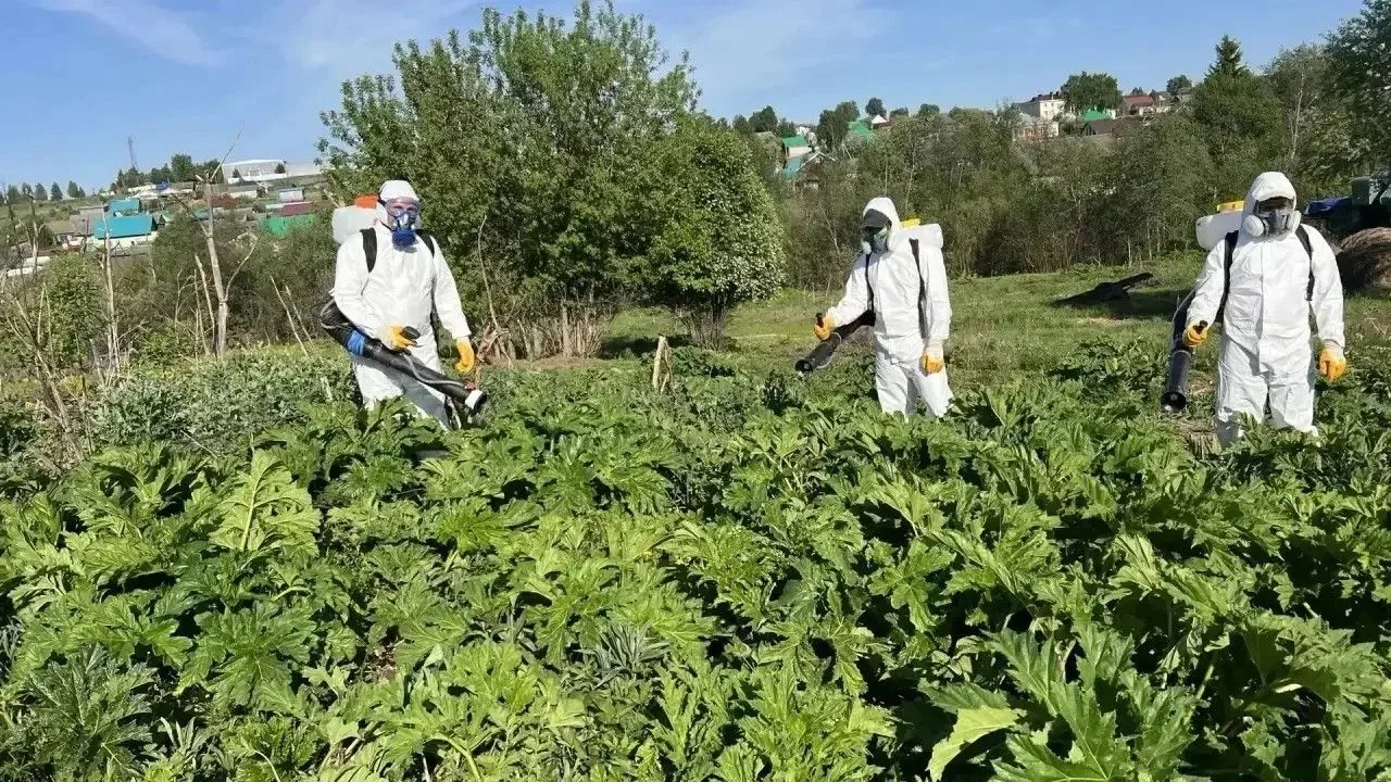 Уважаемые руководители сельхозпредприятий и фермерских хозяйств Кармаскалинского района!