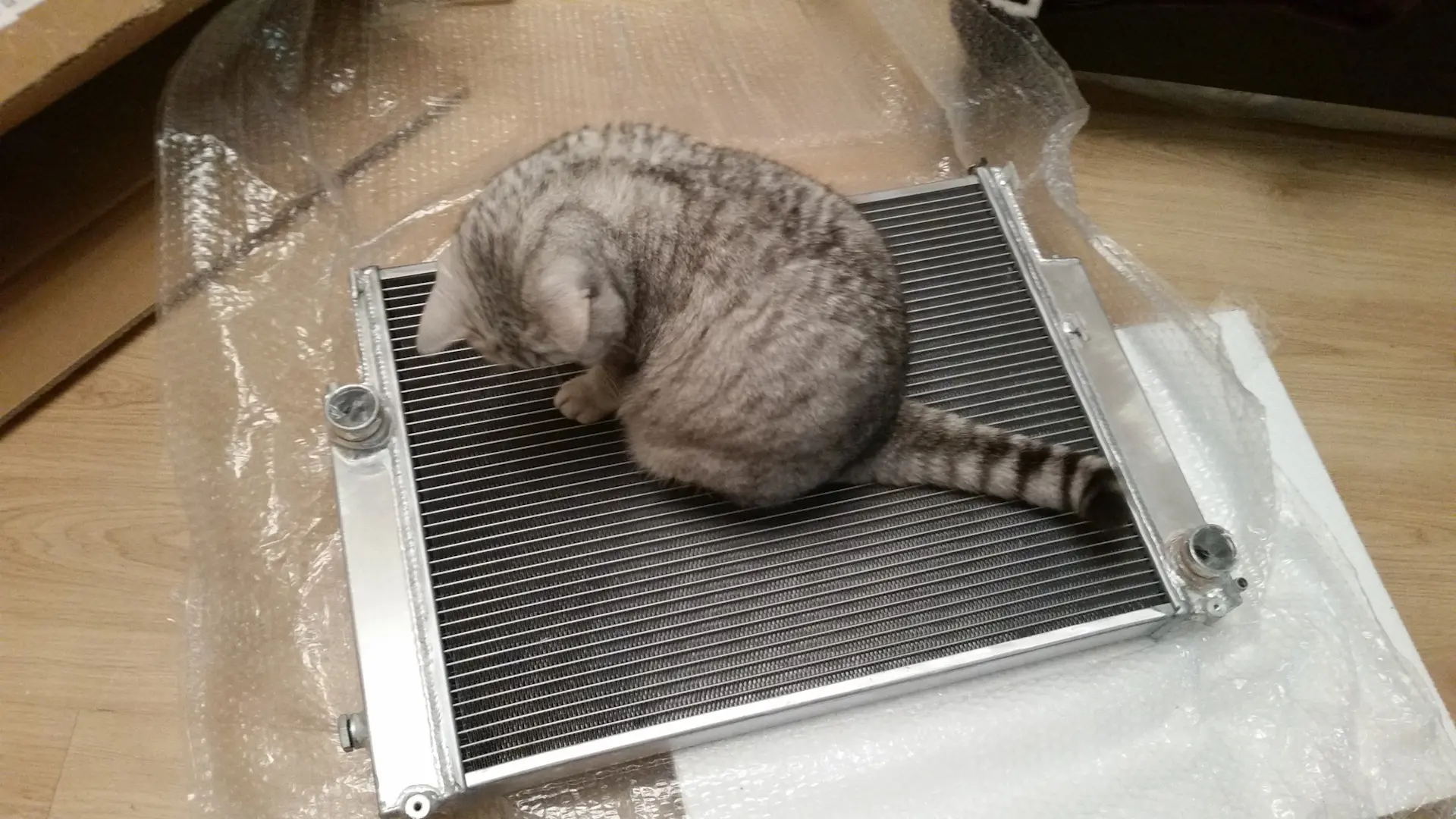🐈 Пушистый DRIVE2: контролёры ОТК  Если купленные автозапчасти оказались с дефектом, по Закону о защ