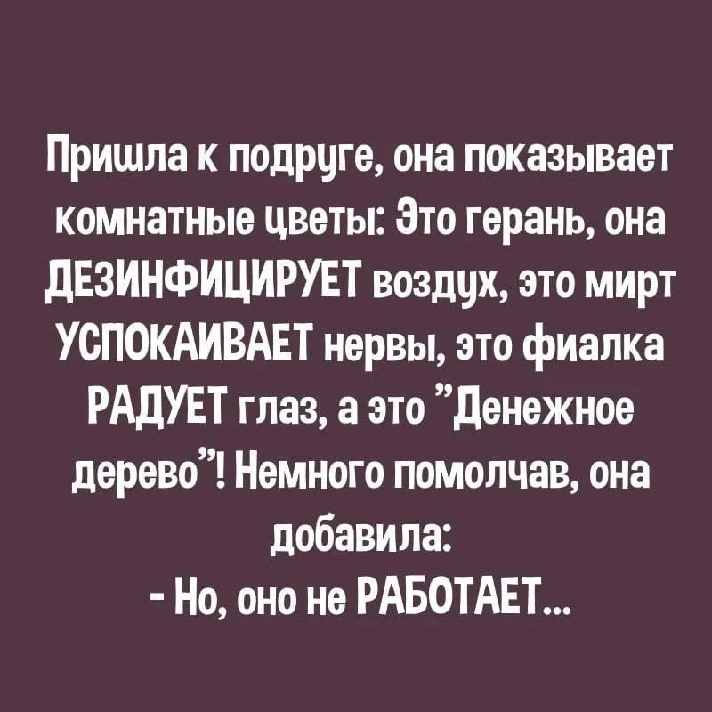 Утром прочитала городские сводки после урагана...  Срочно потребовалась ударная доза юмора. Как-то ж
