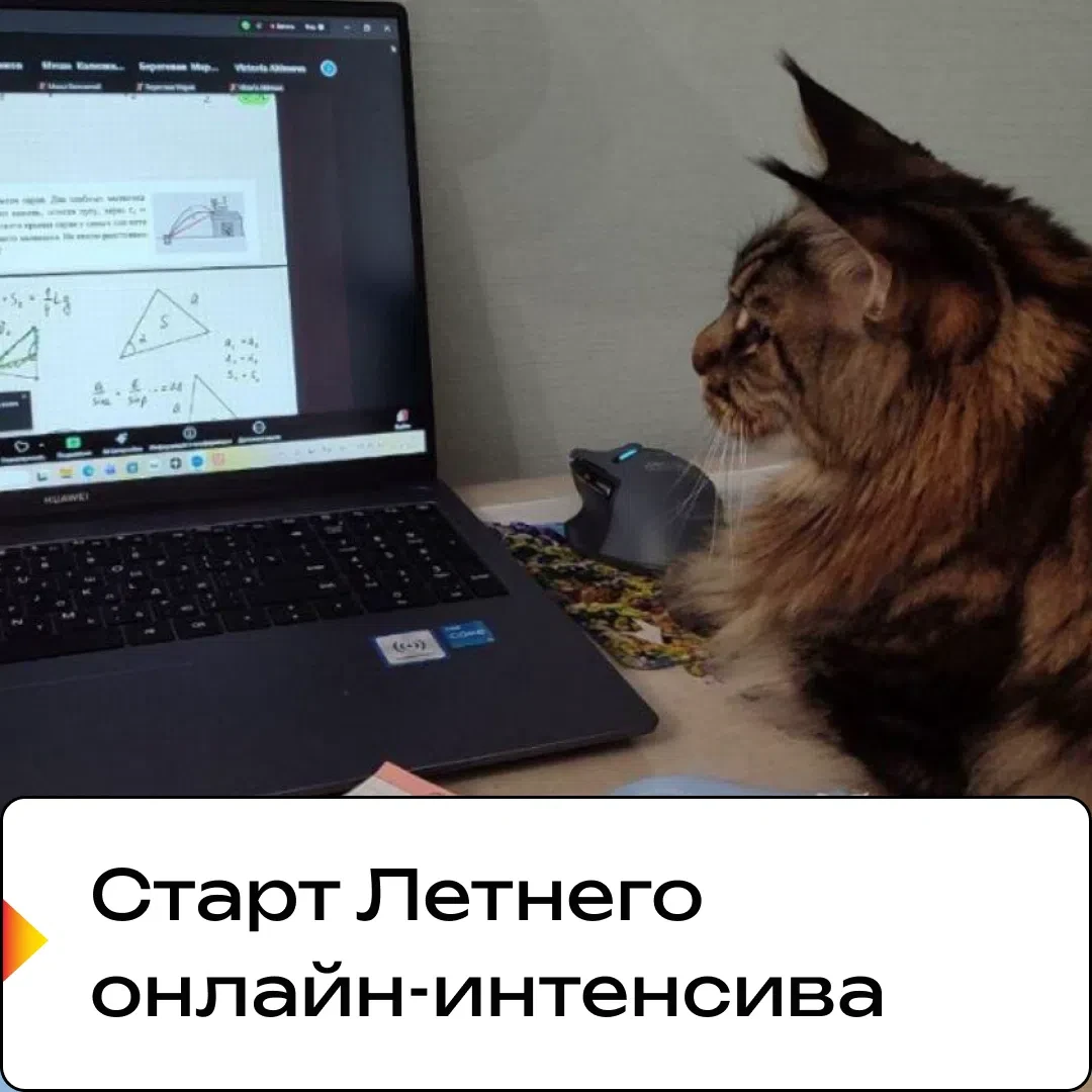 Друзья, сегодня стартовал наш Летний онлайн-интенсив!