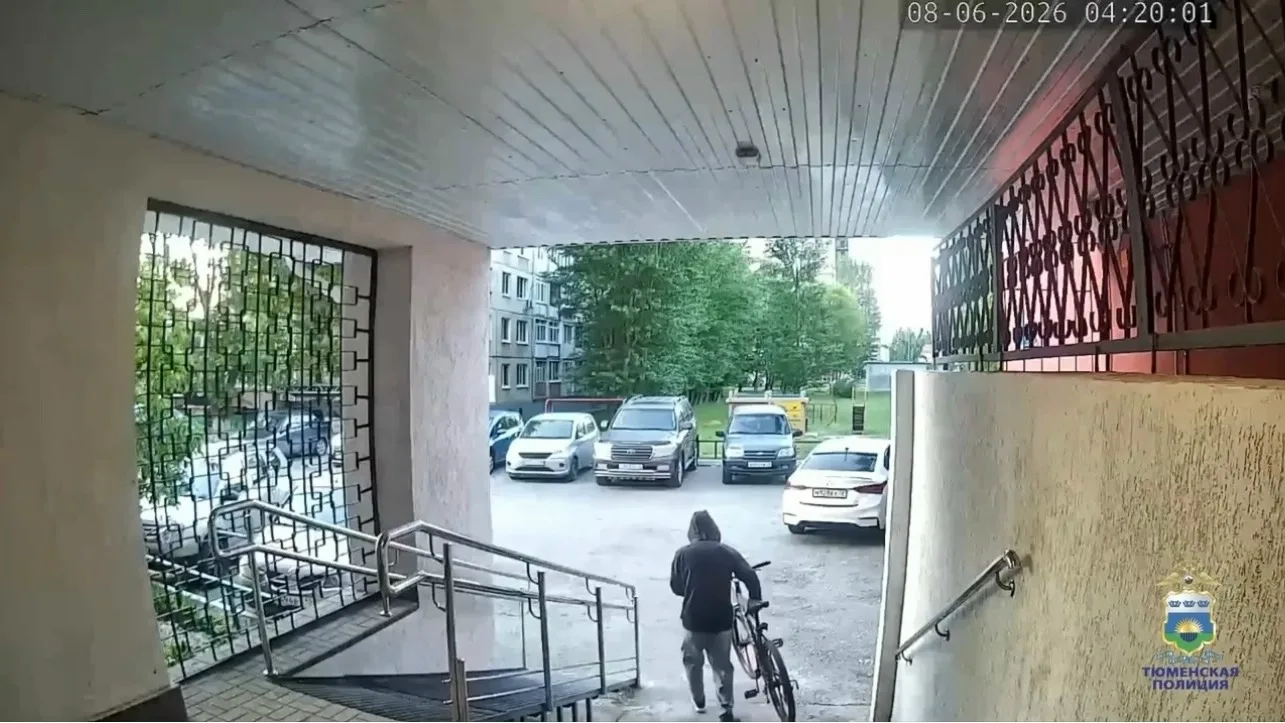 «Перекусывал тросы и забирал велосипеды»: в Тюмени раскрыли серию краж

Серия краж велосипедов в Тюм