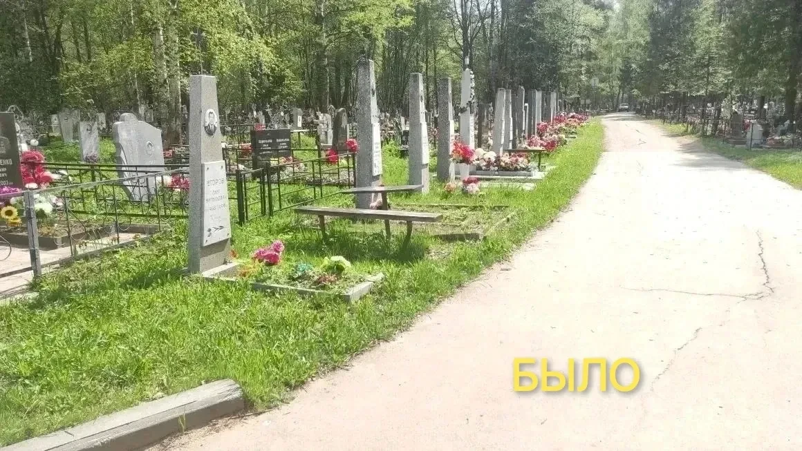 🤔 Помните, мы в мае ещё городские власти хвалили?