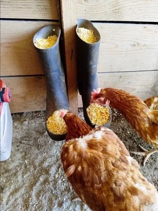 В деревне все пригодится))