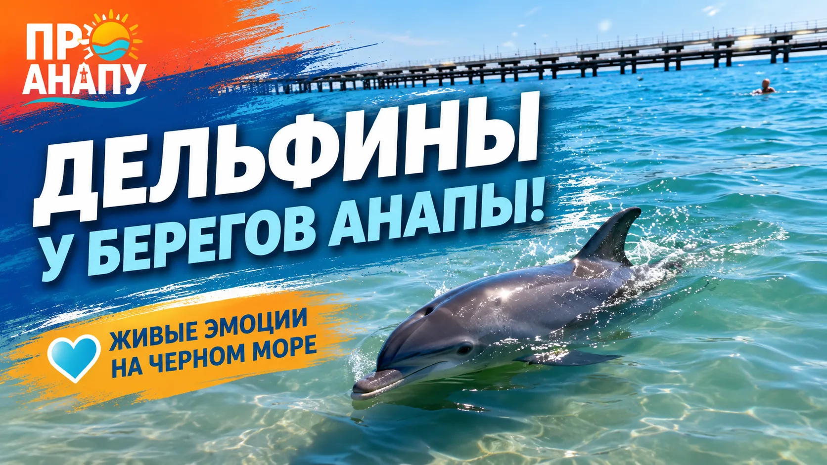 🐬 Дельфины снова радуют отдыхающих у берегов Анапы!