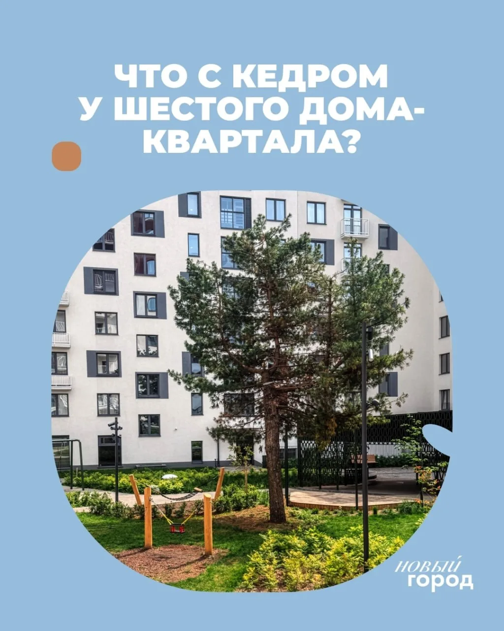 Друзья, многие переживают за большое дерево, поэтому рассказываем.

— Мы удалили старые сухие ветки 