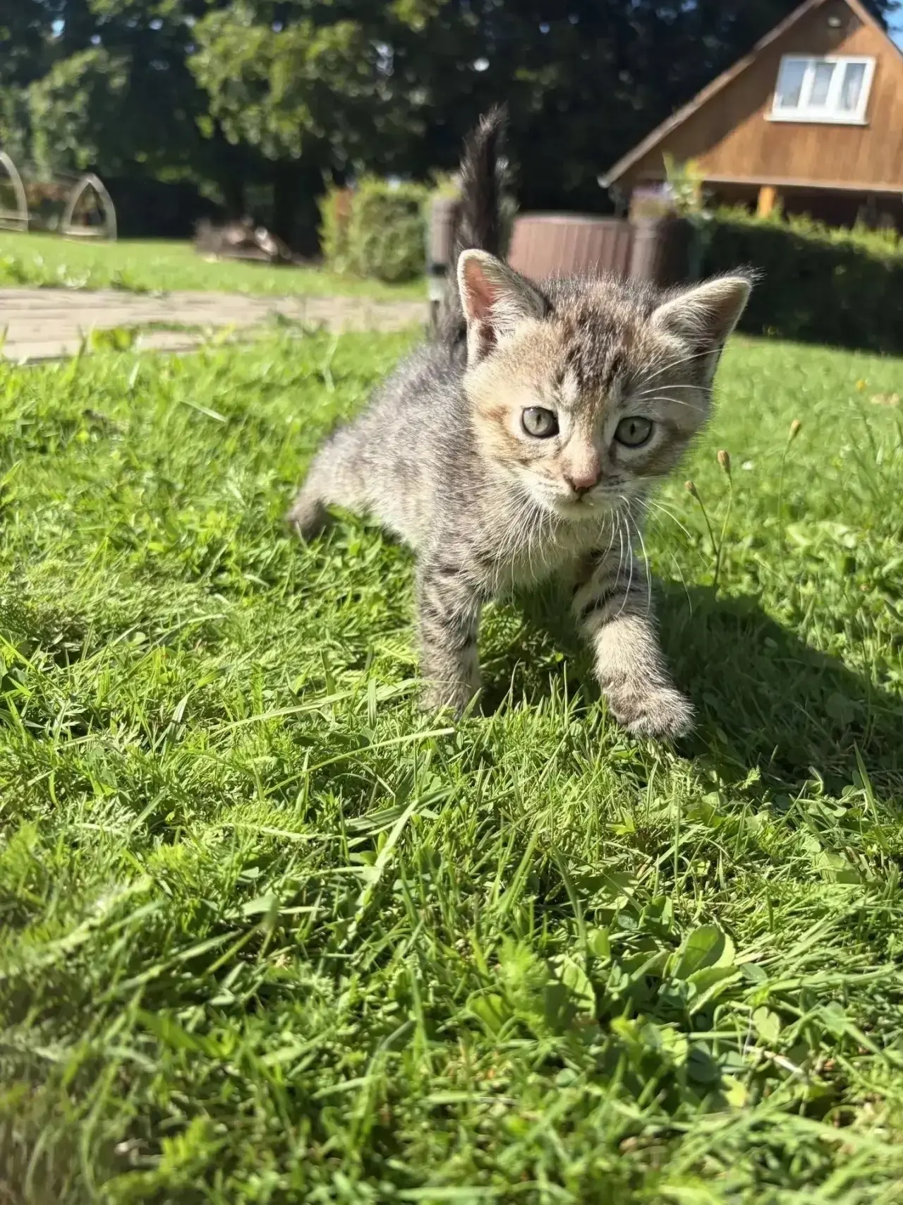 💙Бусинка нуждается в любви и заботе!