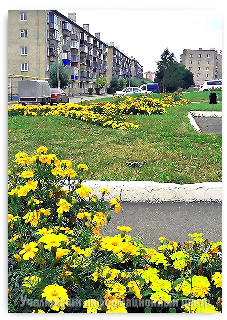 Учалы_хәйерле_иртә