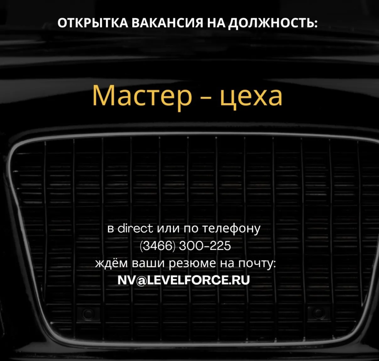 Актуальные вакансии в Level Force🔧